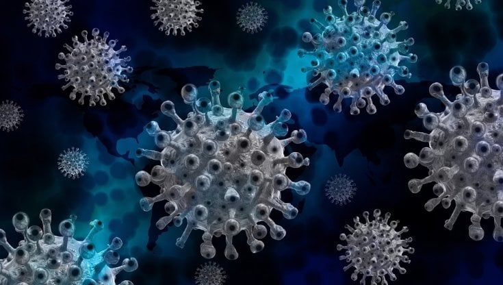 Covid: arriva al cervello passando attraverso il naso