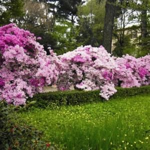 L'orto botanico riapre il 1 aprile, con biglietto ridotto