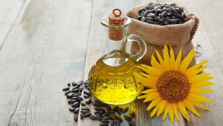 SOS olio di girasole per la guerra in Ucraina: i porti chiusi bloccano la fornitura di materia prima per le aziende italiane