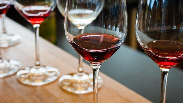 Vinitaly Special Edition, il vino italiano guarda al futuro