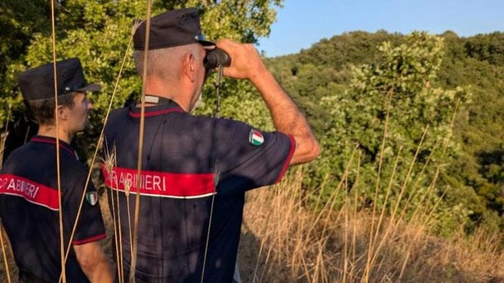 Abusi sessuali su due capre e un’asina: denunciato un 30enne a Palestrina