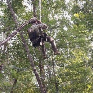 Pisa, parà della Folgore impigliato tra gli alberi: non è grave
