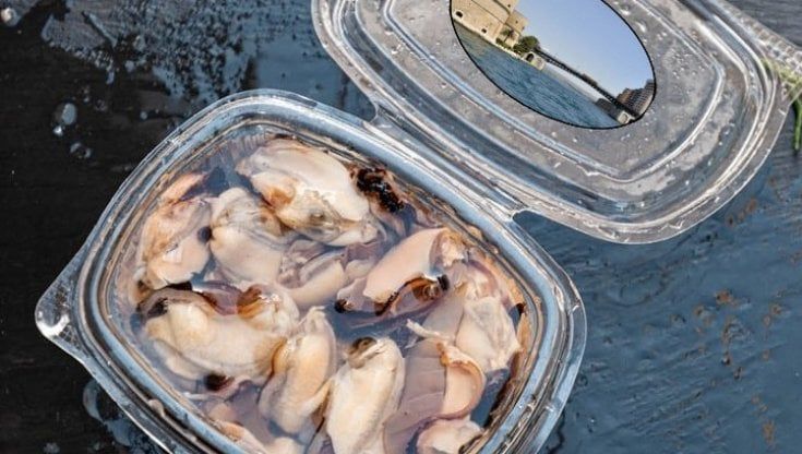 Cozze di Taranto, la nuova vita è bio e solidale: "Togliamo i ragazzi dalla strada per coltivare prodotti freschi, sani e legali"