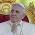 Papa Francesco rivede la frase sui "conigli": "Famiglie numerose sono speranza, non povertà"