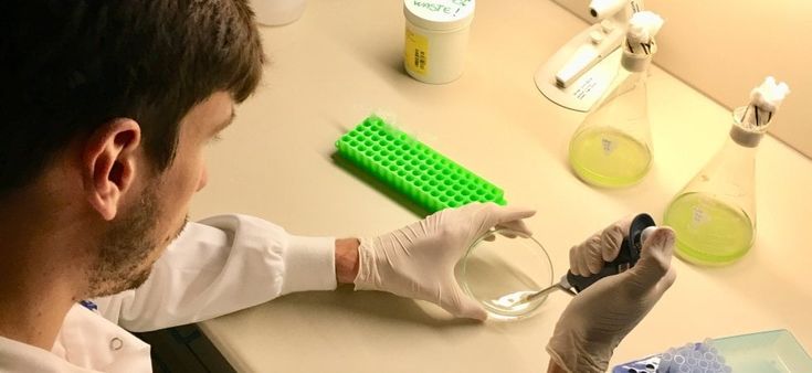Arrivano le nanospugne spazzine per pulire le acque 