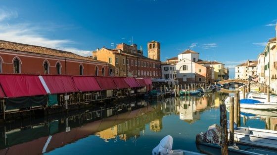 Tanti auguri di buon compleanno al Radicchio di Chioggia