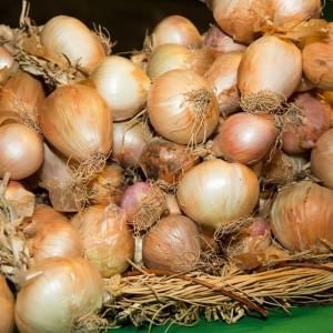 Weekend sulla dieta mediterranea e la cipolla di Vatolla