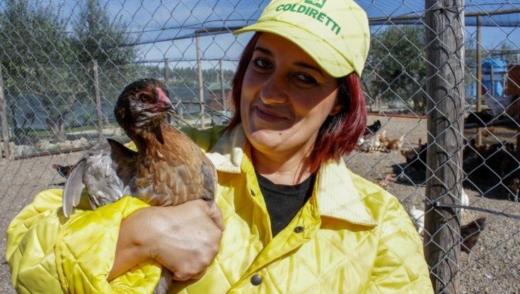 Le galline dalle uova blu e la crema green, gli Oscar per i giovani agricoltori 