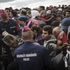 Migranti, 