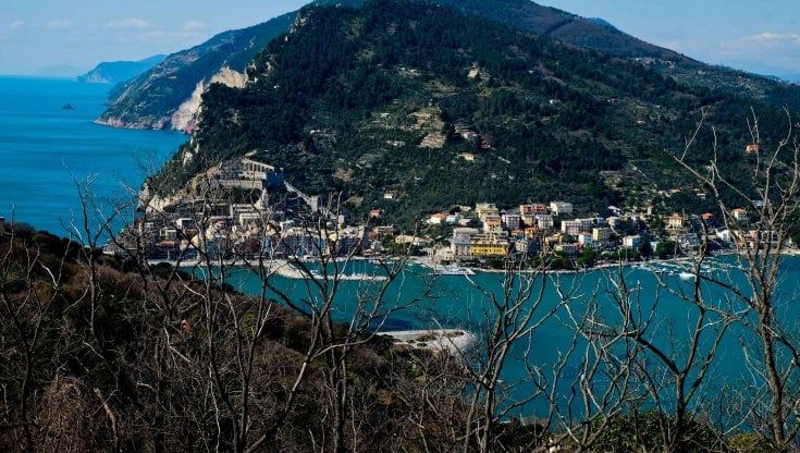 Piano di rilancio della Palmaria, l'avvertimento della Commissione Europea: attenzione agli "impatti ambientali"
