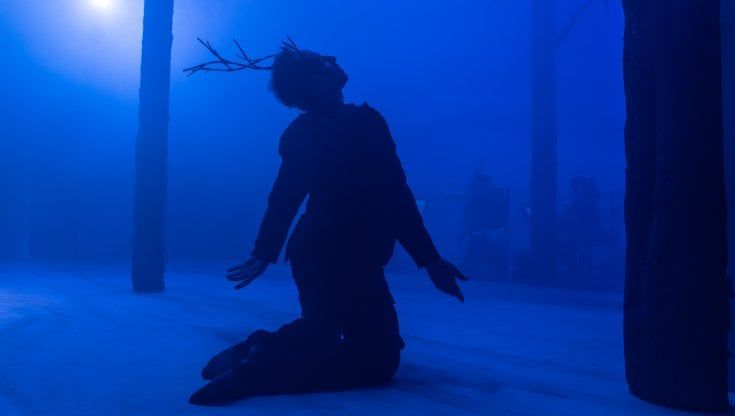 Il Mostrario di Yuval Avital, le scene bestiali invadono Teatro Due 
