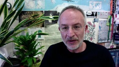 Stefano Mancuso: "Iniziamo a piantare mille miliardi di alberi"