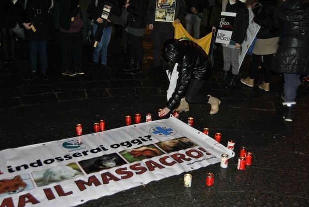 Salerno, animalisti in piazza contro le pellicce