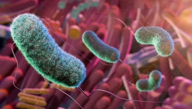Infezioni da cateteri e stent: la scoperta italiana che riduce i batteri del 90% senza antibiotici