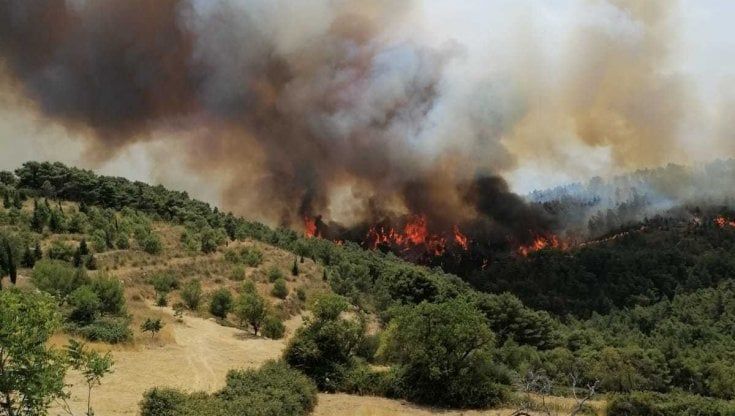 Roghi nel Ragusano, il sindaco di Giarratana: "Situazione drammatica". Fiamme a Pergusa