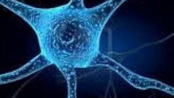 Sclerosi multipla, le staminali che fanno sperare