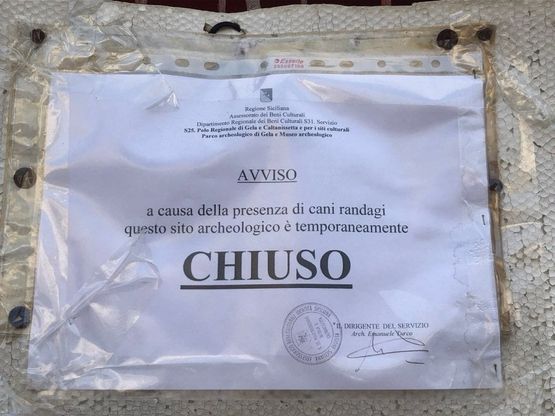 Chiuso per randagismo: le fortificazioni greche di Gela sono off limits