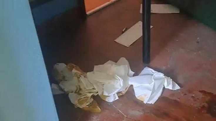Vandali alle scuole Federzoni. Un manager dona i computer