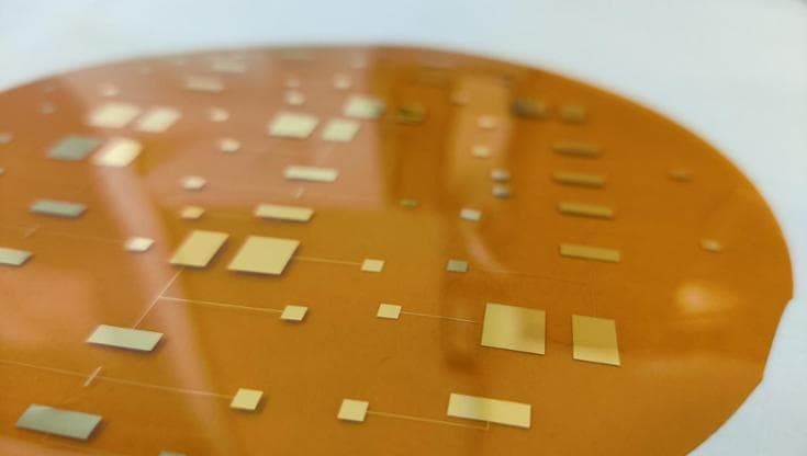 Elettronica organica, biosensori per controllare qualità dei cibi e ridurre gli sprechi