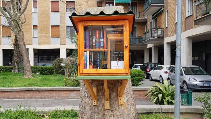 A Bologna una mini-libreria di quartiere sul ceppo di un albero abbattuto