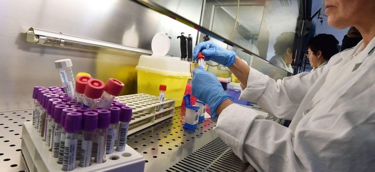 Celiachia: diagnosi più veloci e meno invasive grazie al progetto europeo ITAMA