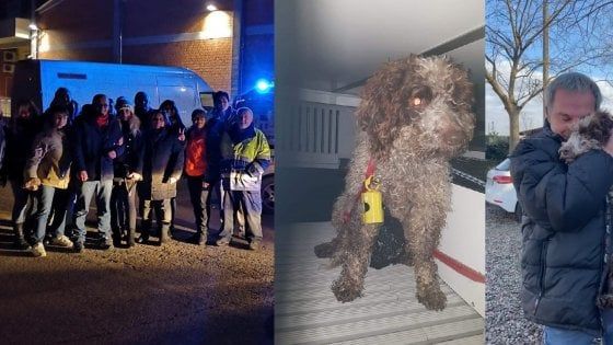 Bologna, la fuga del lagotto Gaia è finita con un abbraccio: ora può tornare a casa