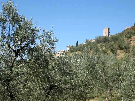 Italia, i sapori dell'autunno