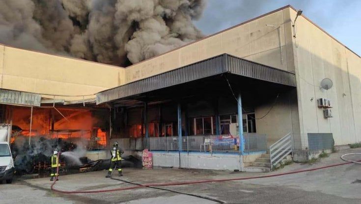  Incendio in una fabbrica di caffè nel Casertano: si segue la pista dolosa