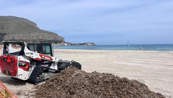 La Italo Belga torna sulla spiaggia di Mondello, via ai lavori per pulire l’arenile