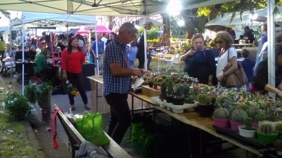 Al via  “Benevento in fiore”