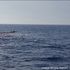 Naufragio nel canale di Sicilia: le foto drammatiche degli uomini in mare