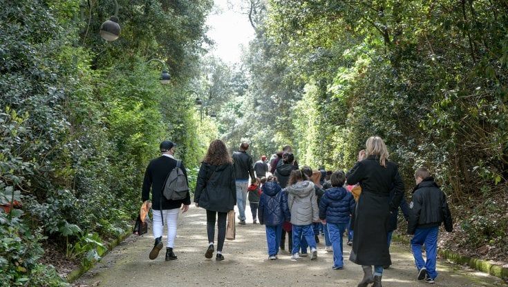 Napoli, a passeggio nel verde di Villa Floridiana, Ragozzino: "I restauri veri iniziano ora"