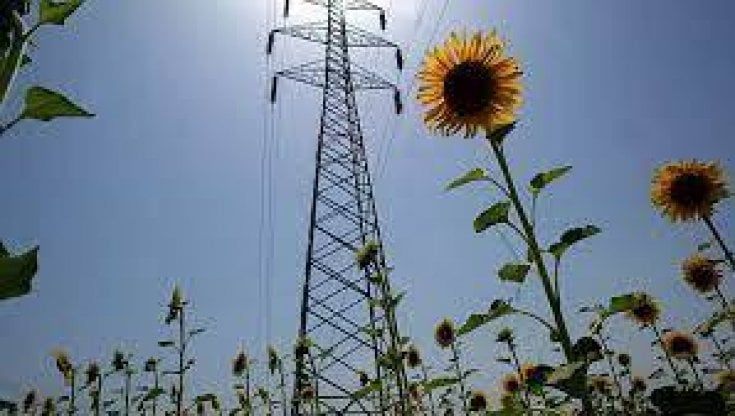 Elettricità: tariffe in calo del 20%, ma senza gli aiuti del governo le bollette saliranno
