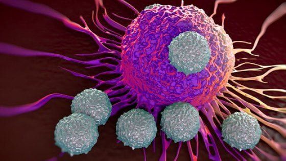 Nuovi risultati sulla combinazione di immunoterapici nel tumore del polmone