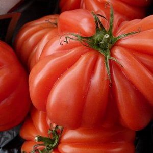 Fagioli e pomodori toscani: un toccasana contro il diabete
