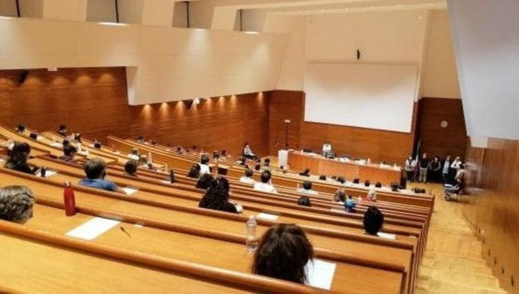 La comunicazione con piante e animali: all’Università di Siena diventa materia obbligatoria