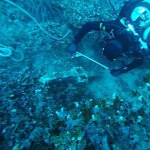 Ponza, i sub dei carabinieri salvano un'ancora romana dal furto