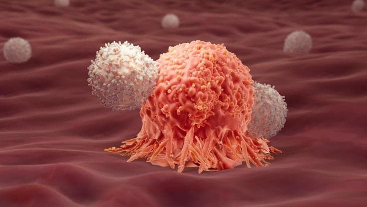 Tumore contro sistema immunitario: la battaglia si vede in tempo reale