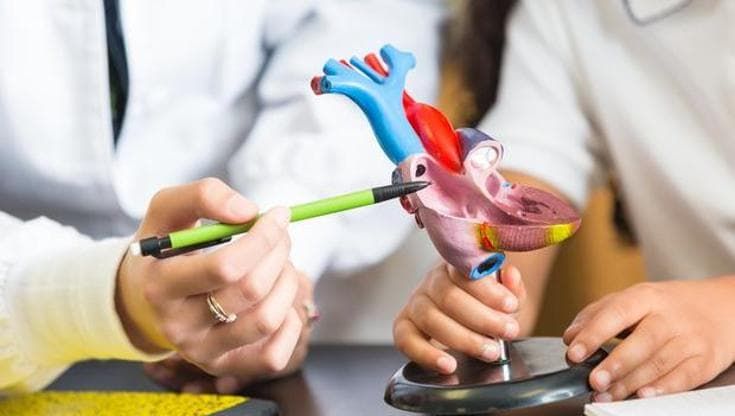 Cardiologia interventistica: in Italia oltre 500mila procedure