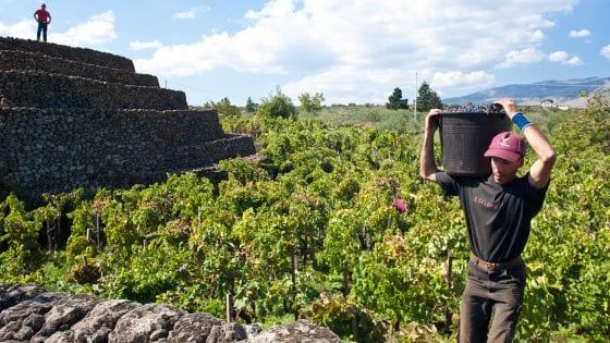 In cucina con il vulcano: il paradiso gastronomico che circonda l'Etna