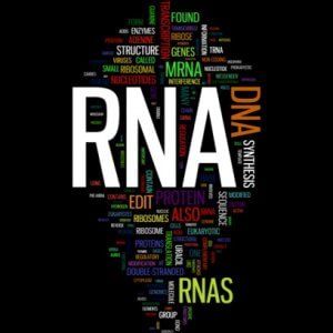 Cancro, scoperto il lato oscuro dell'Rna: promuove il tumore 
