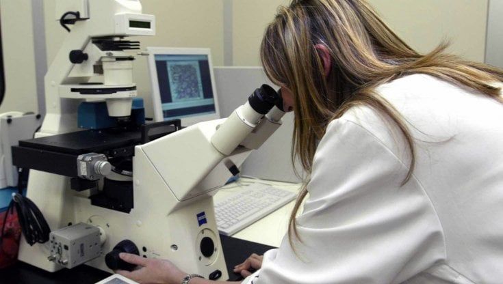 Tumore del colon, lo studio da Bari: le piastrine dei pazienti obesi lo rendono più aggressivo. "Ora approcci mirati"