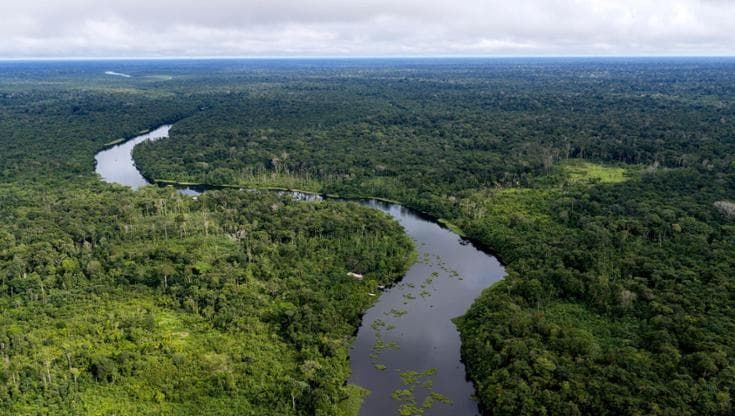 Oceani e foreste assorbono il 40% della CO2, ma il loro valore resta ignorato