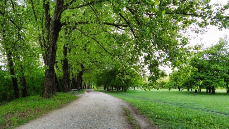 Il nuovo Maria Vittoria alla Pellerina. Patto sull’area, non toccherà il parco