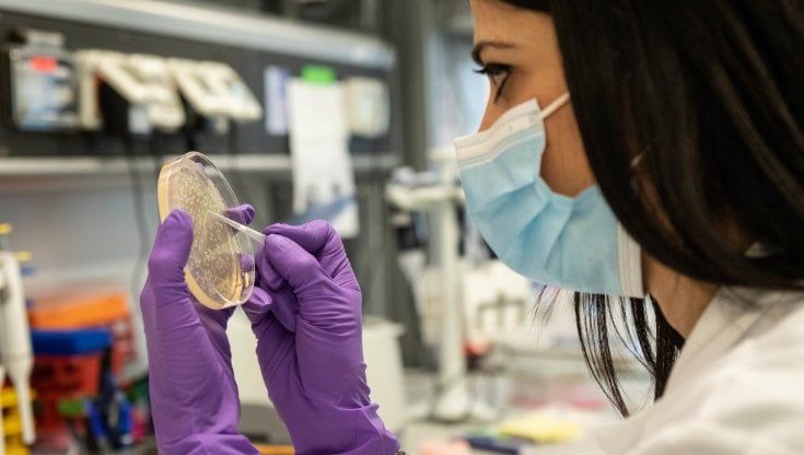 Covid, Siena: "Così stiamo isolando lo scudo contro il coronavirus"