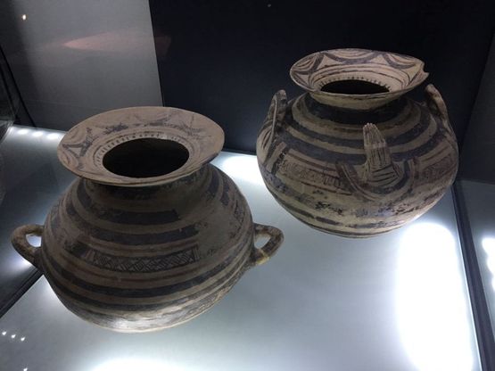 Canosa, il  Museo espone i tesori sottratti dai tombaroli