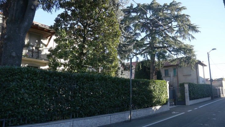 Avvelenò i parenti con il tallio, la Cassazione conferma l'infermità mentale di Del Zotto