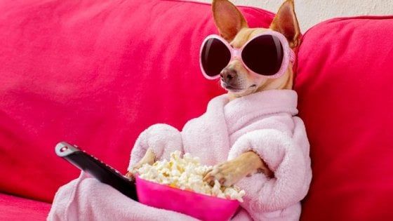 Troppa cucina in tv, l'attrazione è fatale