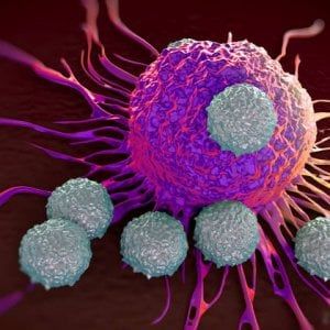 Così il tumore si difende dai farmaci