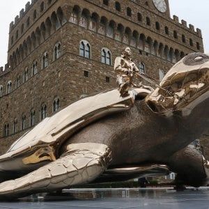 Firenze, turista fa pipì nel cortile di Palazzo Vecchio. E un altro sale sulla tartaruga di Fabre